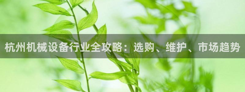 金年会是什么平台：杭州机械设备行业全攻略：选购、维护、市场趋势