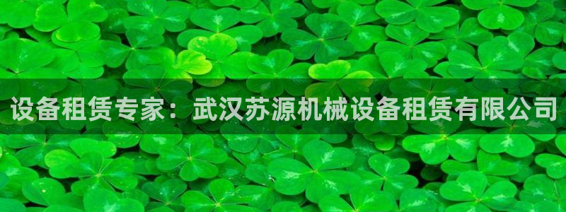 金年会信誉至上是什么意思：设备租赁专家：武汉苏源机械设备租赁有限公司