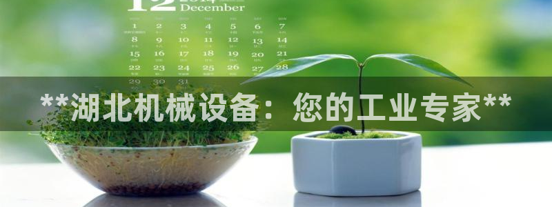 金年会网站登录：**湖北机械设备：您的工业专家**