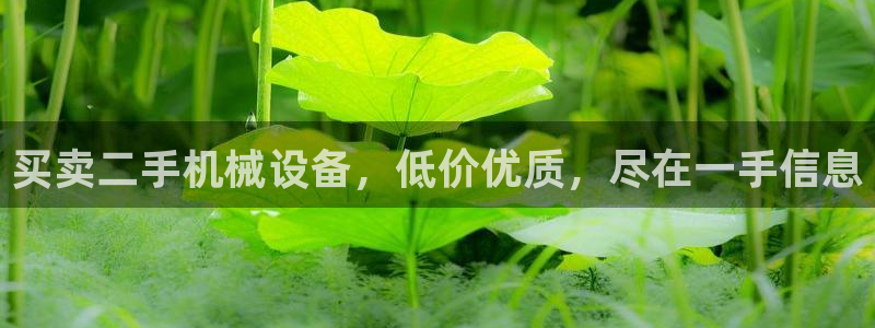 金年会金字招牌在线入