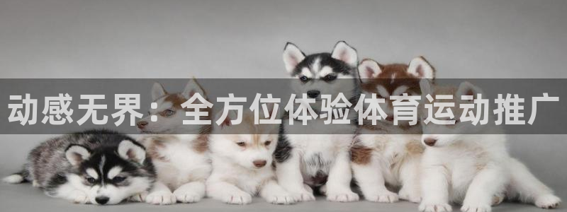 k1体育app：动感无界：全方位体验体育运动推广