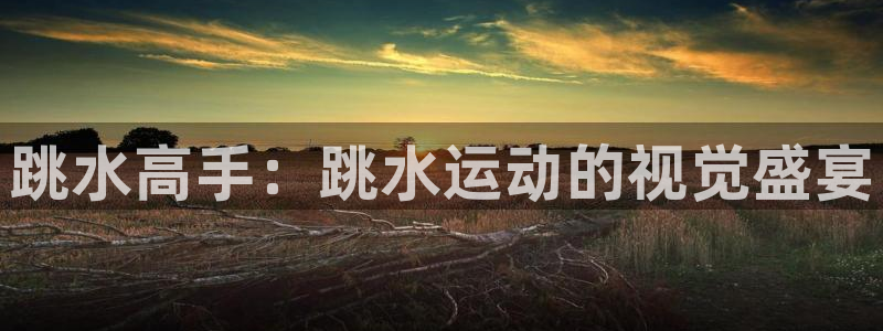 k1体育下载地址：跳水高手：跳水运动的视觉盛宴