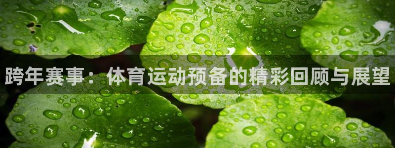 k1体育棋牌网址：跨年赛事：体育运动预备的精彩回顾与展望