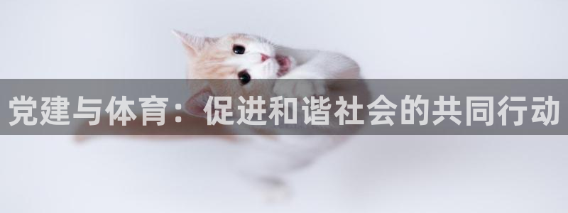 k1体育十年品牌官网：党建与体育：促进和谐社会的共同行动