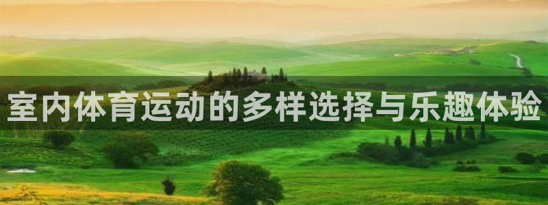k1体育平台下载：室内体育运动的多样选择与乐趣体验