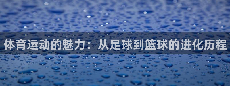 k1体育十年登录入口：体育运动的魅力：从足球到篮球的进化历程