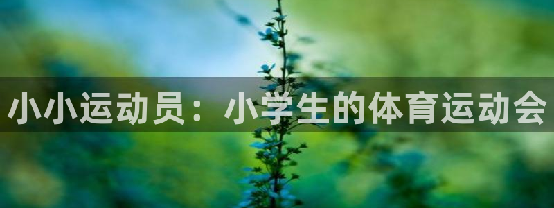 k1体育十年登录入口：小小运动员：小学生的体育运动会