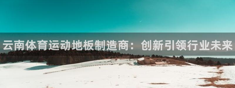 k1体育十年品牌官网：云南体育运动地板制造商：创新引领行业未来