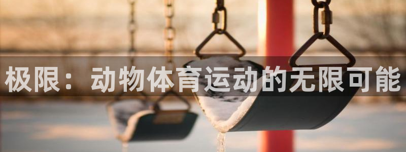 k1体育网址是多少
