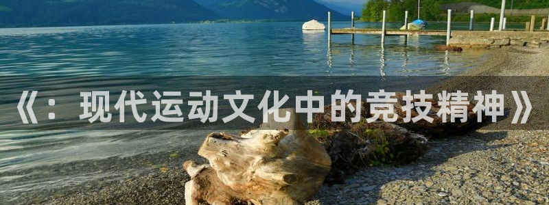 k1体育app：《：现代运动文化中的竞技精神》