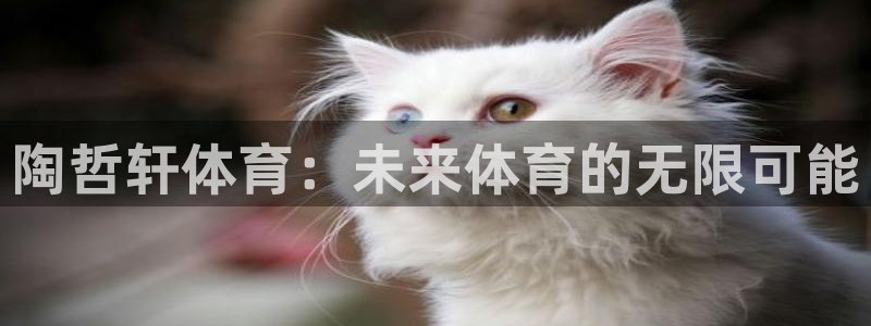k1体育十年品牌值得信赖网址：陶哲轩体育：未来体育的无限可能