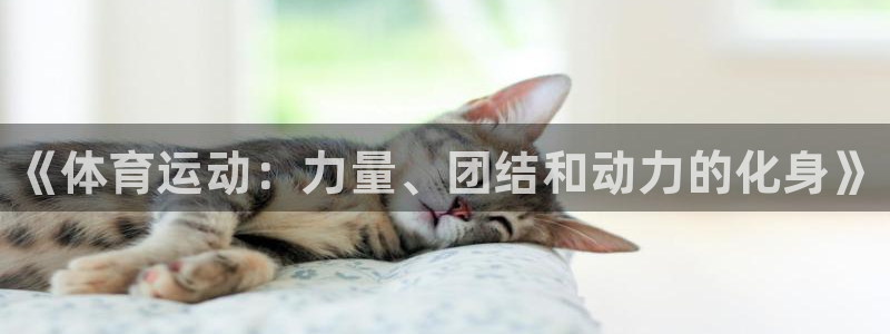 k1体育娱乐：《体育运动：力量、团结和动力的化身》