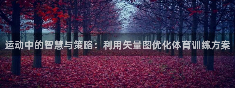 k1体育app下载：运动中的智慧与策略：利用矢量图优化体育训练方案