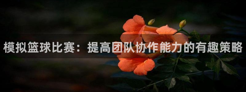 k1体育网站登录官网：模拟篮球比赛：提高团队协作能力的有趣策略
