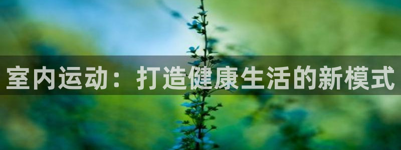 k1体育网址是多少