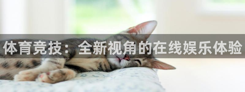 k1体育app官网登录入口：体育竞技：全新视角的在线娱乐体验