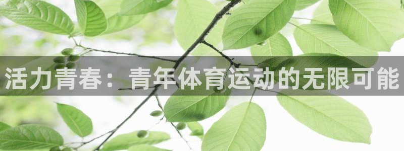 k1体育十年平台：活力青春：青年体育运动的无限可能