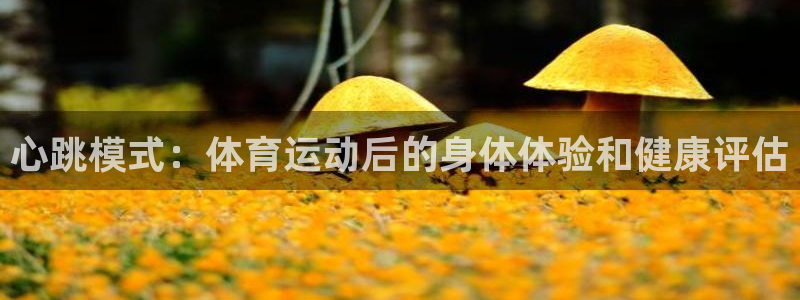 k1体育平台下载：心跳模式：体育运动后的身体体验和健康评估
