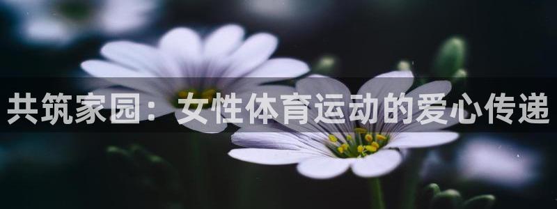 k1体育下载链接：共筑家园：女性体育运动的爱心传递